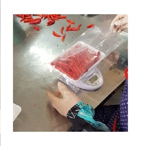 Piment rouge long surgelé cultivé en serre au Vietnam, super fort et très épicé, pour la vente en gros - Product Image 5