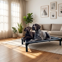Lit surélevé pour chien d'extérieur, cadre en alliage d'aluminium, anti-rouille, résistant à l'humidité, maille ventilée, facile à nettoyer, pour jardin et terrasse