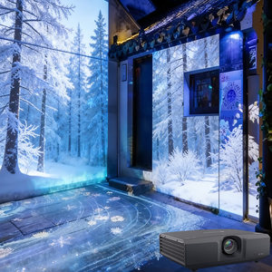 Projection vidéo 3D en plein air dans la forêt avec éclairage paysager interactif pour l'affichage d'art numérique - Product Image 1