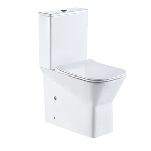 Australian stand WC brand two 2 piece watermark Australian standard back to wall rimless toilet