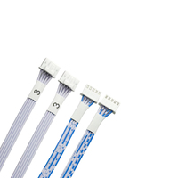 Maßgefertigtes 2468 24AWG Verzinntes Kupferleiter PVC-Isoliertes Blau-Weißes Flachbandkabel PH2.0-5P Adapter mit 20cm Länge