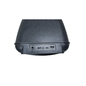 LED RGB Portátil para Caixa de Som com Alimentação USB, Microfone Integrado e Saída de 30-50W para Festas e Karaokê - Product Image 4