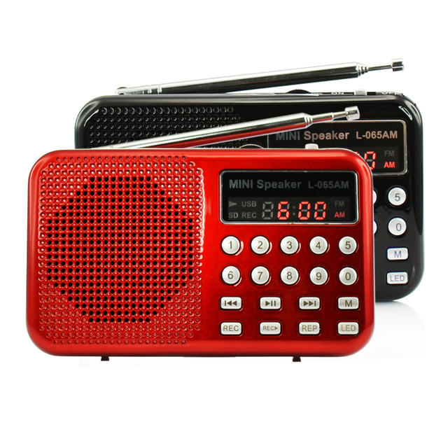 Dewant L-065AM Mini MP3 Music Player Speaker USB Am Fm Radio With Recorder.