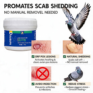 Élimination Efficace de la Variole Aviaire du <span class=keywords><strong>Pigeon</strong></span> : Guérison et Prévention Naturelle et Sûre des Lésions Cutanées, Prévention des Épidémies, Contrôle des Maladies, Grains 100g - Product Image 3