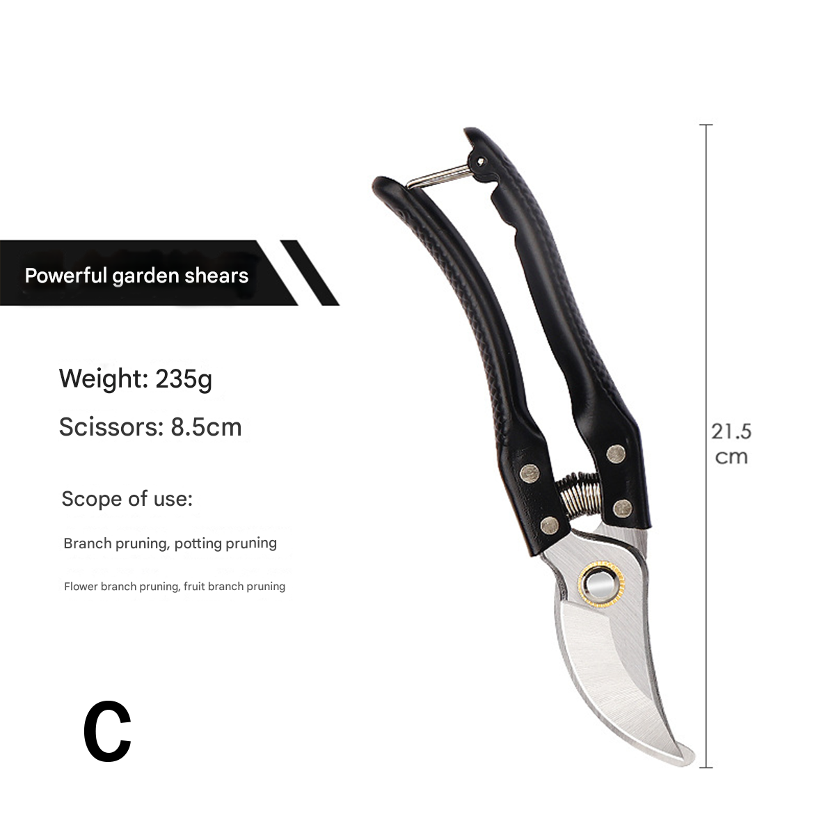 C2
