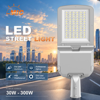 Luminaire routier LED haute efficacité ENEC 170LM/W, étanche, protection contre les surtensions 10KV, éclairage public extérieur LED pour les municipalités
