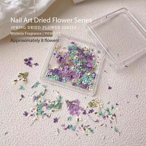 1 Boîte de Fleurs Séchées en Plastique pour Décoration d'Ongles, Couleurs Mixtes, Fleurs Naturelles Réelles, Autocollants DIY pour <span class=keywords><strong>Manucure</strong></span>, Petites Fleurs Fraîches - Product Image 6