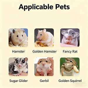 Gabbia per Criceti in PET Moderna, Stabile ed Ecologica, per Ratti Siriani e Porcellini d'India, con Tutti gli Accessori, Prezzo all'Ingrosso - Product Image 3