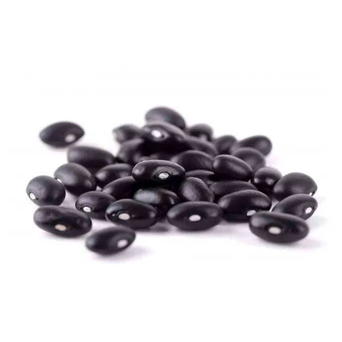 Kidney Beans - High Quality, Best Price, Directly from Producers in Mexico Wholesale Premium Black from MX with - Shelf Life