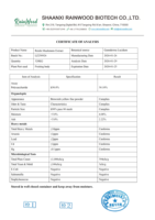 Extrait de champignon Reishi Rainwood, triterpène, bêta-glucane