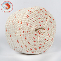 Corde de pêche en plastique du fabricant, corde en polyéthylène, corde en nylon torsadée, corde en PE, corde d'emballage marine, corde de sécurité pour l'emballage