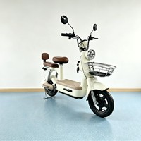 Vente directe des fabricants de vélos électriques, e-bikes transfrontaliers, avec batterie 48V, super vélos électriques