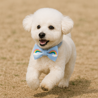 Netter bunter Regenbogen-Hunde bogen verstellbarer weicher Stoff Lustige Haustier-Krawatte Benutzer definiertes Logo Haustier-Fliege für Katzen Kleine Hunde