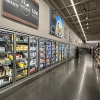 Congélateur commercial vitré pour magasin de détail, stockage et présentation de produits surgelés