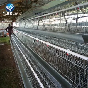 直接制造商一种120类型的鸟类容量加州笼鸡笼