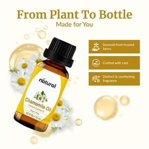 Aceite Esencial de Manzanilla Orgánico Natural de 30 ml, Aceite Aromático <span class=keywords><strong>para</strong></span> Aromaterapia, Difusor, Cuidado de <span class=keywords><strong>la</strong></span> Piel, Cuidado del Cabello, Perfume, Fabricación de Velas - Product Image 4