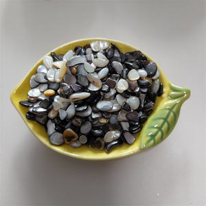 เกล็ดหินบดเปลือกหอยเป๋าฮื้อธรรมชาติสำหรับใช้กับกรวดในสวน - Product Image 5