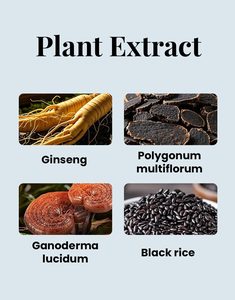 Shampoo alle Erbe di Ginseng 100% Naturale 3-in-1 - Tinta Rapida per Capelli in 10 Minuti Marrone Scuro/Nero con Formula Riparatrice per Tutti i Tipi di Capelli - Product Image 3