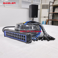 Câble multipaire XLR personnalisé 16/24/32 canaux 30/50 mètres, câble audio multicanal, boîtier de scène, répartiteur XLR entrée/sortie 100FT