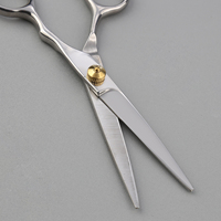 Kit de 10 ciseaux de coiffure professionnels avec lames en acier inoxydable aiguisées, ciseaux à effiler et à couper pour usage professionnel