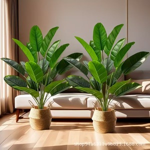 Plantes artificielles <span class=keywords><strong>en</strong></span> <span class=keywords><strong>pot</strong></span> Hongsheng, faux arbre vert, écologiques, <span class=keywords><strong>en</strong></span> plastique, pour intérieur/<span class=keywords><strong>extérieur</strong></span>, 60 cm de haut, simulation de plantes debout - Product Image 2