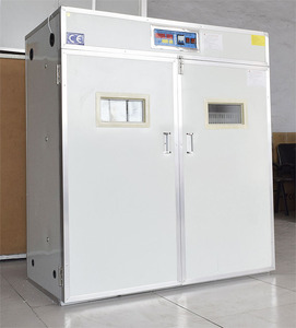 Original nuevo envío gratuito huevo incubadora Bienvenido a consultar - Product Image 6