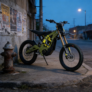 Nouvelle Moto Tout-Terrain Sur Ron Light Bee X 2026 Neon 10000W Haute Performance pour Adultes - Product Image 1
