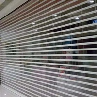 Porte à enroulement à lames transparentes sur mesure en polycarbonate pour centre commercial