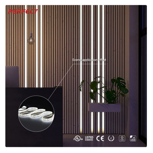 Tira de LED Impermeable IP68 con Recubrimiento Completo de PU, SMD2835/RGBW, DC24V, 2700K-6500K, Alto CRI para Iluminación Decorativa, Gran Venta - Product Image 1