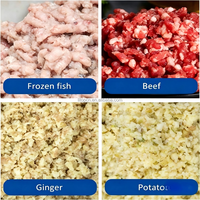 Vente directe usine – Hachoir industriel 500 kg/h pour ail, poulet et poisson, idéal pour la production de chorizo