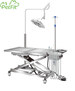 PetFit per lettino veterinario All-in-One per pulizia dentale veterinaria dispositivi di lucidatura strumenti chirurgici - Product Image 2