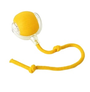 Ballons Intelligents en Promotion pour Animaux de Compagnie : Jouet Interactif Speedy Tail pour le Mouvement et l'Activité des Animaux - Product Image 4