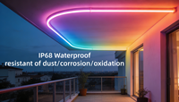Bande LED néon DMX RGBW adressable DC24V 15*25mm, intelligente WIFI/APP/Contrôleur IP68, éclairage extérieur pour façade/fête, Tira Luces LED