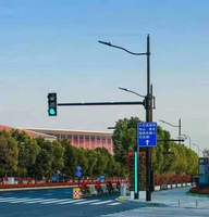 Poste de farola LED inteligente Columna de iluminación de monitoreo integrado multifuncional urbano Equipo para exteriores