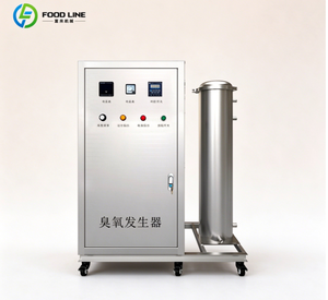 Générateur d'ozone pour <span class=keywords><strong>piscine</strong></span>, générateur d'ozone pour fruits et légumes, nettoyeur d'ozone, machine à ozone - Product Image 2