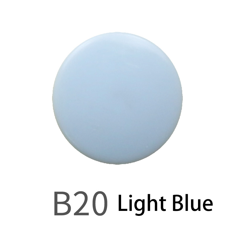 B20