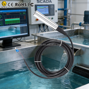 เซ็นเซอร์วัดระดับน้ำ Atex 4-20Ma Ss304 ราคาประหยัด มาตรฐาน CE 24Vdc IP68 สำหรับบ่อน้ำลึก 5 เมตร - Product Image 1