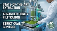 Capsules de Moringa Oleifera à base de plantes naturelles, riches en nutriments, pour soutenir la vitalité du corps