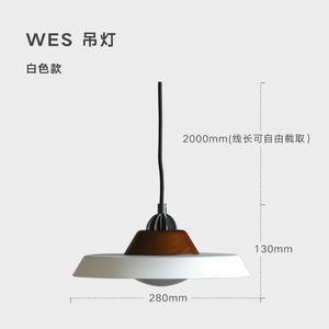 Lustre en verre et fer forgé de style industriel vintage, nouveau style chinois, luminaire de salle à manger design, lampes suspendues, lustres - Product Image 4