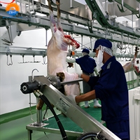 Maquinaria para Mataderos de Ovejas y Cabras Halal, Proyecto Completo Llave en Mano de Línea de Sacrificio con Capacidad para 500 Cabezas por Día para el Procesamiento de Carne de Cordero