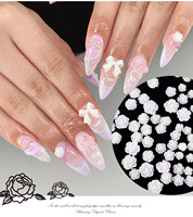 Décorations d'ongles transfrontalières les plus vendues : Camélia blanc, fleurs en résine AB transparente, roses colorées DIY, boîte de décorations