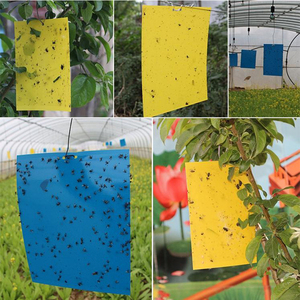 แผ่นกาวดักแมลงวันผลไม้สีเหลืองคุณภาพสูง ผลิตจากกระดาษเป็นมิตรกับสิ่งแวดล้อม สำหรับดักมด ขายส่ง กำจัดศัตรูพืช - Product Image 2