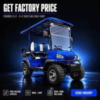 Voiturette de golf à essence 300cc, 4 places, propulsion arrière, suspension indépendante pour les excursions panoramiques en montagne en groupe