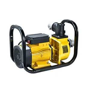 2 3 4 6 Inch Electric Garden Irrigation Equipment Agriculture Irrigation Water Pump