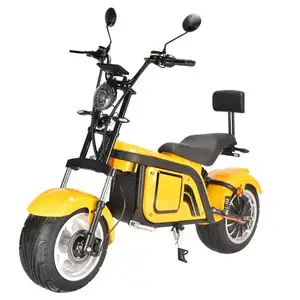 New Trend Fashion Design HL 4.0 2000W 20/30/45Ah EEC Electric Scooter Citycoco Adult