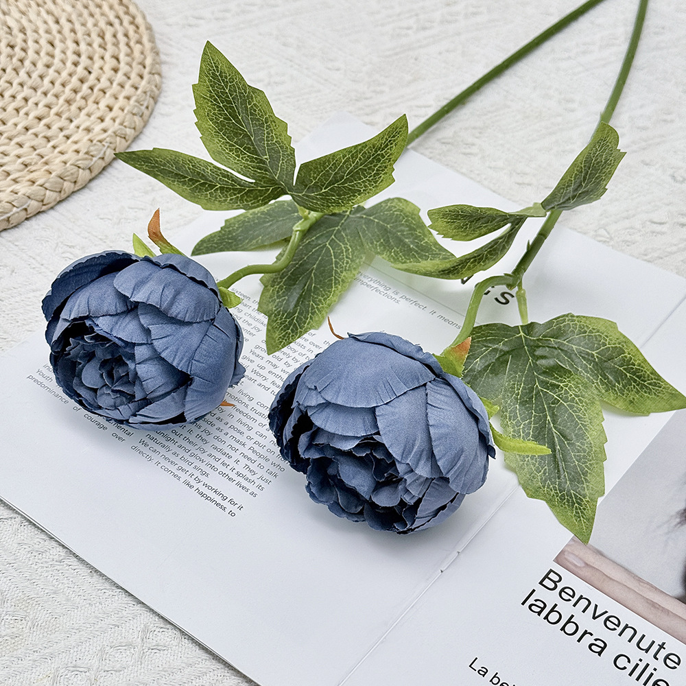 Bleu foncé