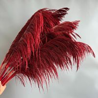 Rumput Pampas Besar Ekstra Lembut, Harga Pabrik, Terlaris, Alami, Kering, Buatan Tangan, Gaya Boho, Dekorasi Rumah untuk Hari Valentine