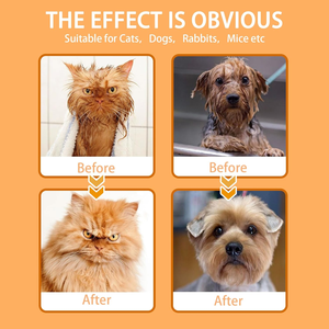 Gants de toilettage pour animaux de compagnie – Nettoyage et massage pour chiens et chats – Gants anti-poils à cinq doigts pour le bain et le toilettage - Product Image 4