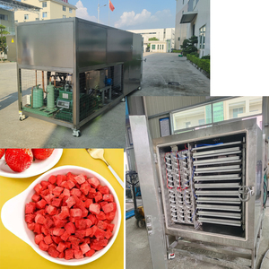 Guxing Industrial Use Powerful 100Kg SUS304 Stainless Steel <b>Vacuum</b> Freeze Drying Machine with <b>Pump</b> & PLC Core Components 28KW - Product Image 2