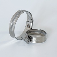 Collier de serrage à vis sans fin DIN 3017 allemand en acier inoxydable 304/316, structure pivotante, bande large polie, couple élevé, pour tuyaux automobiles